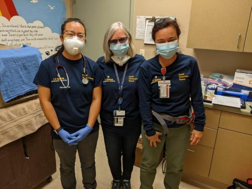 Three veterinarians in Plumas County representing UC Davis VERT. From left to right: Drs. Megan Ouyang, Michelle Hawkins, Lais Costa.